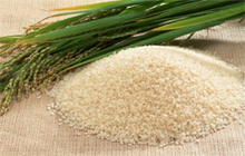 Basmati Rice